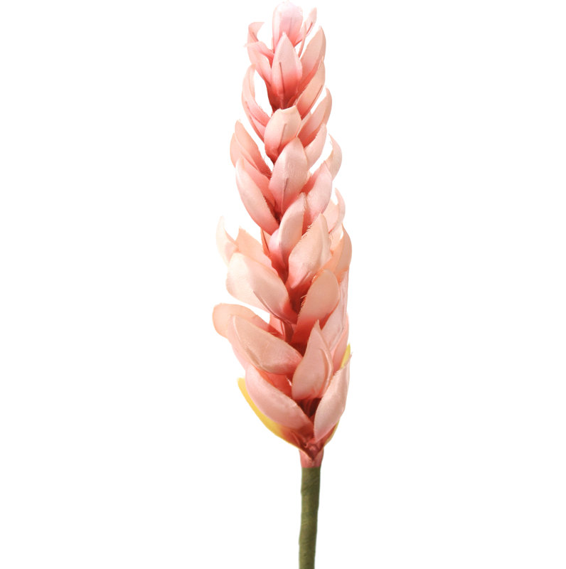 Ginger Arrangement