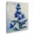 Toile tendue