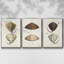 Ensemble de 3 toiles tendues avec châssis de qualité supérieure Antique Botanical Collection-97759882-97759875