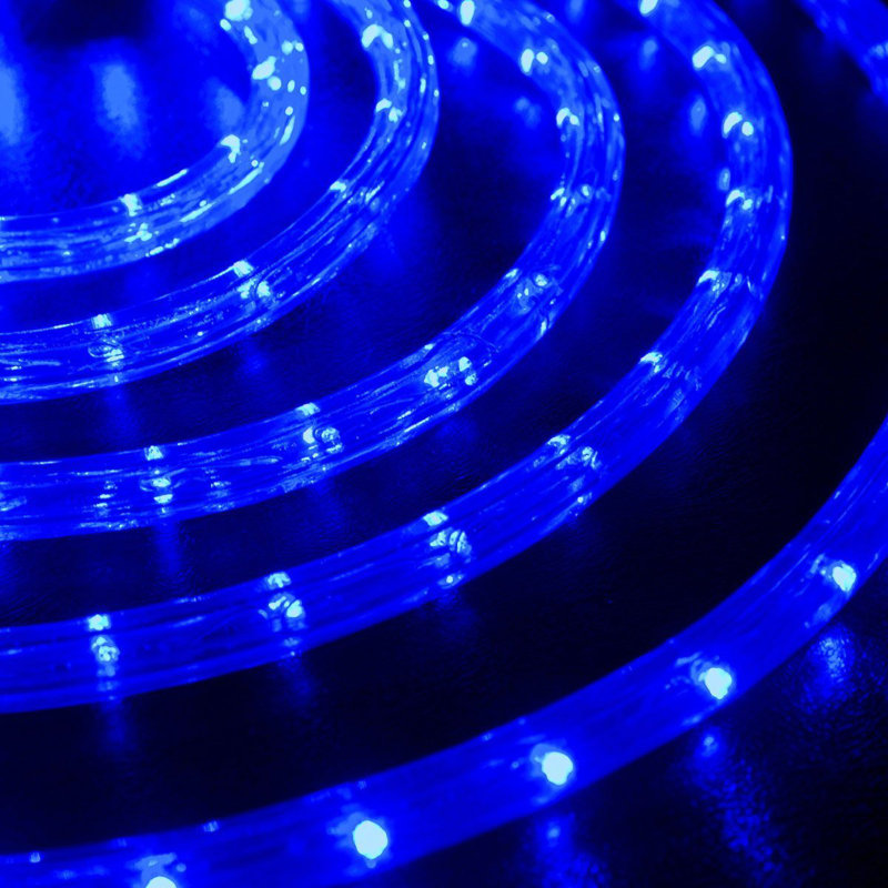 Cordon lumineux à DEL, 150 pi, 91, Bleu