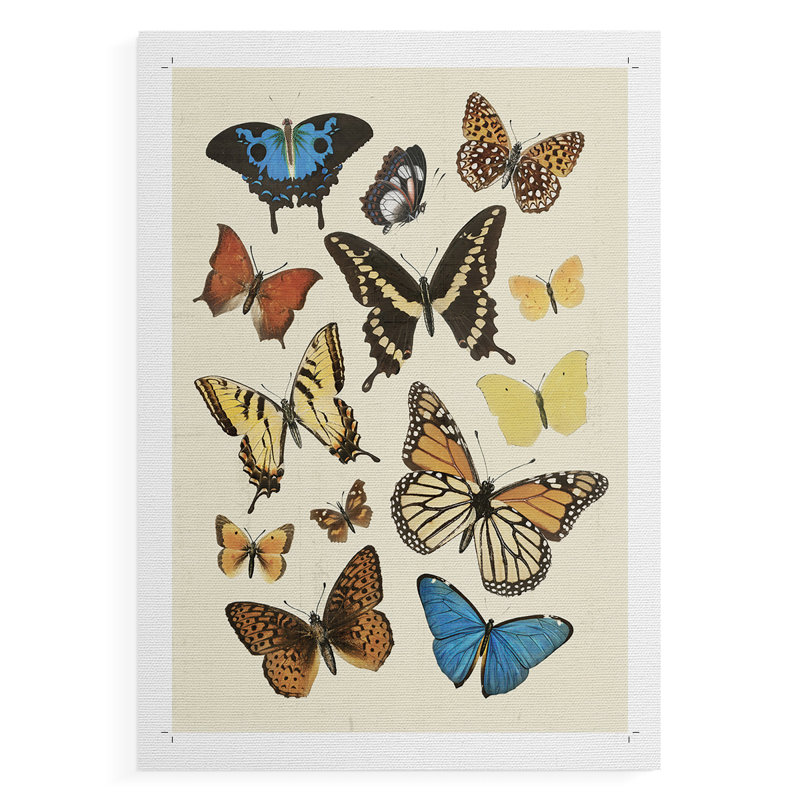 Collected Flutter II -Canvas Print Only - NOT FRAMED, 12" H x 8" W