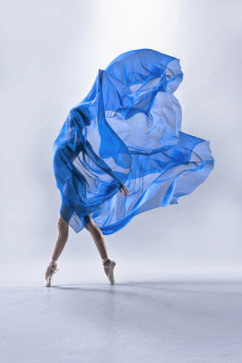 Wrapped Canvas Print, 60.96 cm H x 91.44 cm W