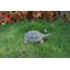 Turtle Statue