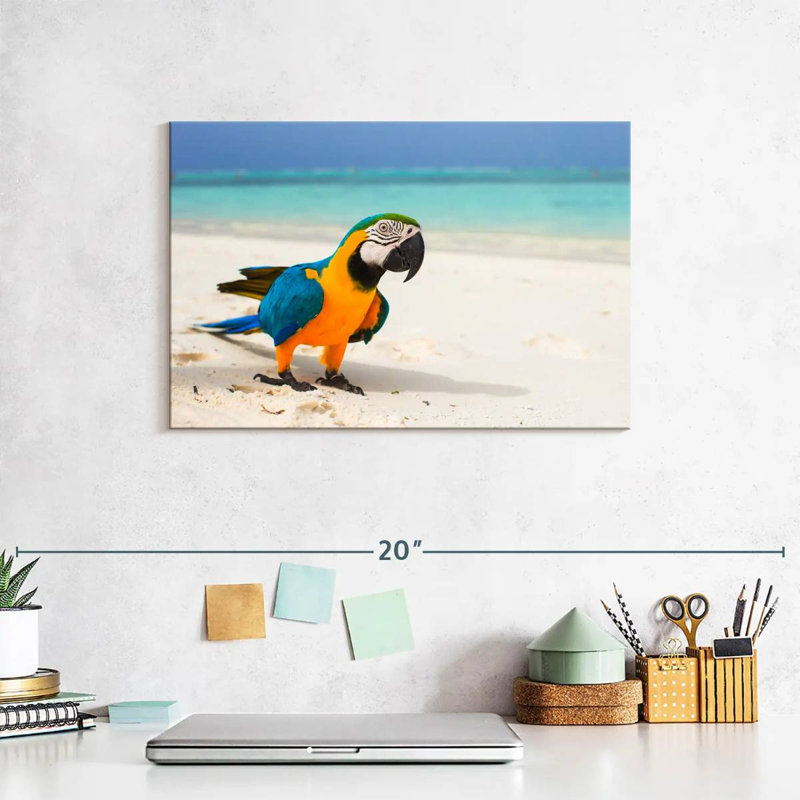 Brampt Macaw On White Sand, 8" H x 12" W
