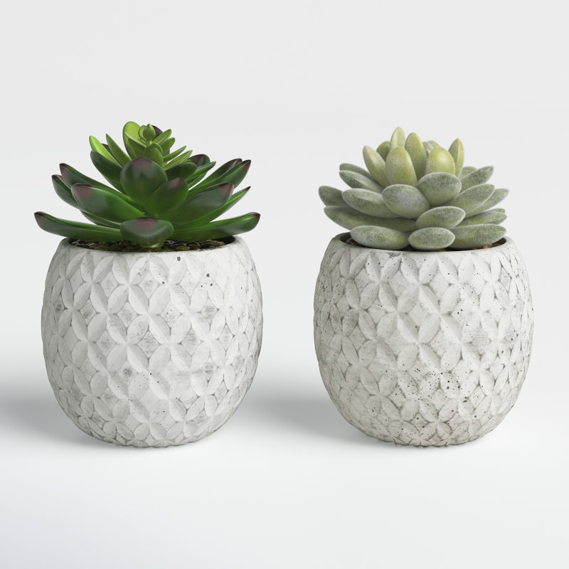 Beeck 4.5'' Faux Succulent in Pot