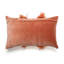 Velvet Lumbar Pillow w/ Feather Trim-663441243