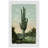 " Lofty Cactus " by Marmont Hill-2103638651