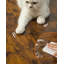 Onarga 86cm H Cat Tree