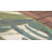 Cindina Floral Indoor / Outdoor Area Rug in Green-49063600
