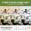 Lustre spoutnik en verre 6 lumières-279664405-279664402