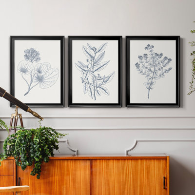 Indigo Botany Study IV - Ensemble de 3 peintures sur toile encadrées