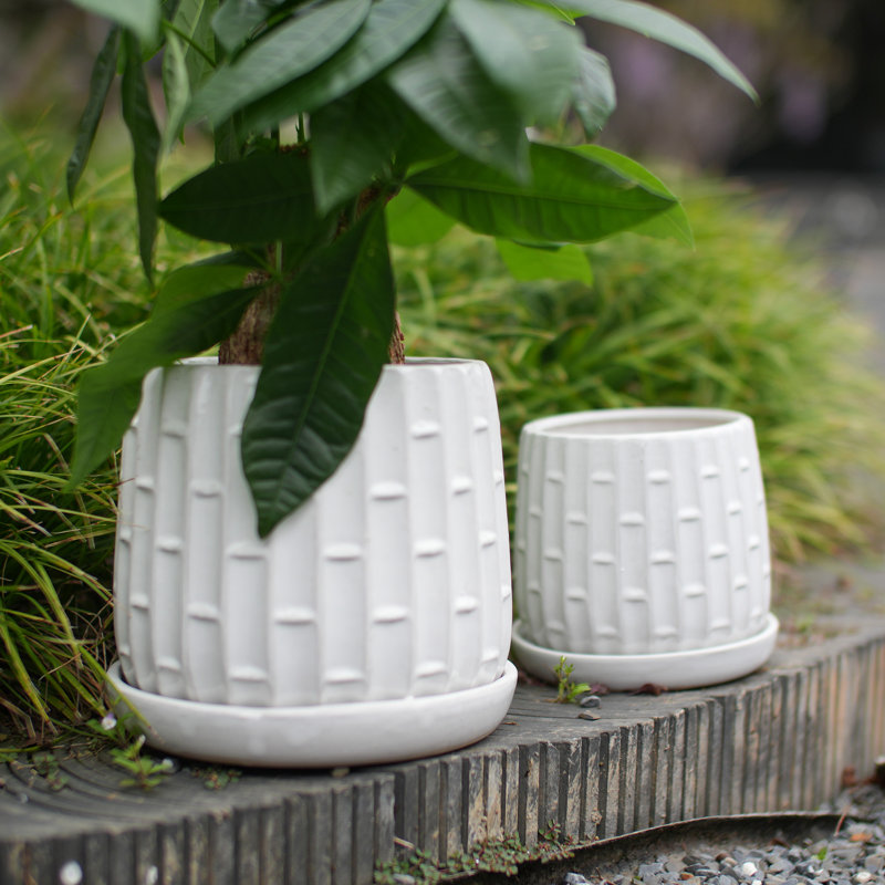  Ceramic Plant Pots, 7 + 5 Inch, Set of 2 Flower Pots with Drain Hole and Saucer, Bamboo Pattern Planter for Plants Orchids Succulents Indoor/Outdoor, Plant Gifts - White