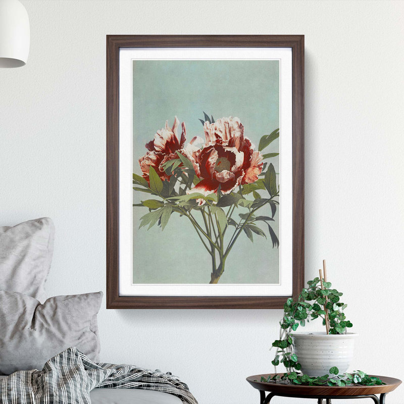 Tree Peony by Kazumasa Ogawa - Picture Frame Painting Print, 65cm H x 48cm W x 2cm D, Walnut Framed