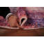 Tapis contemporain contemporain à motif abstrait