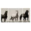 Wild Stallions - Impression sur toile tendue-38251445