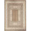 Oriental Indoor Rug