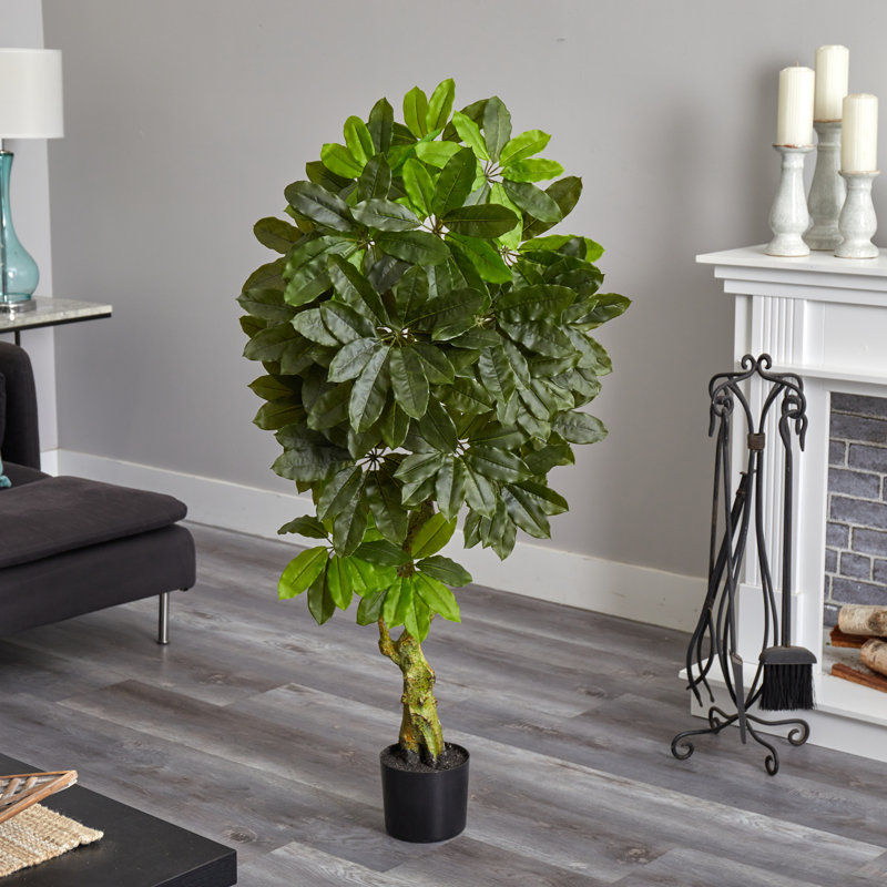 Arbre artificiel Schefflera résistant aux rayons UV (intérieur / extérieur)