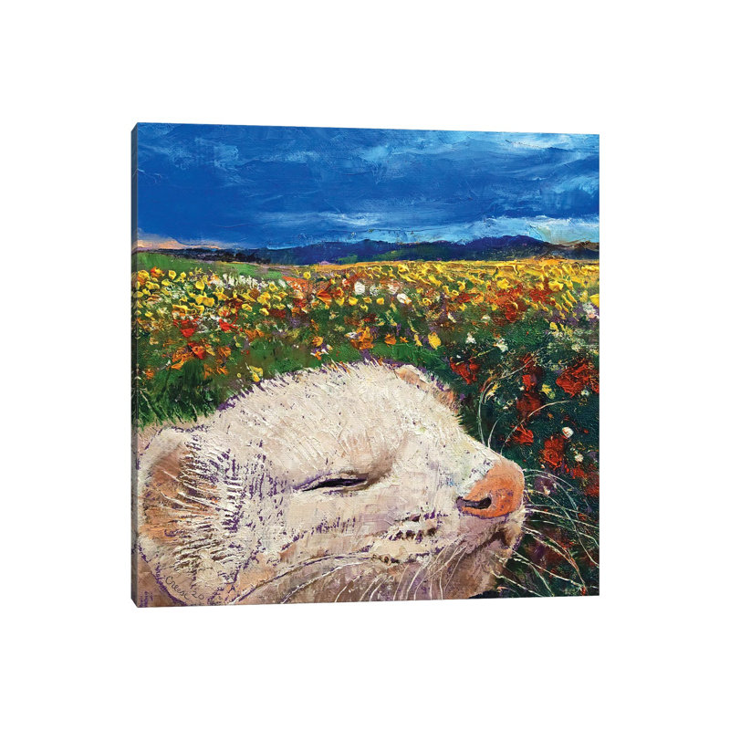 Ferret Dreams by Michael Creese - Wrapped Canvas Print, 66.04 cm H x 66.04 cm W