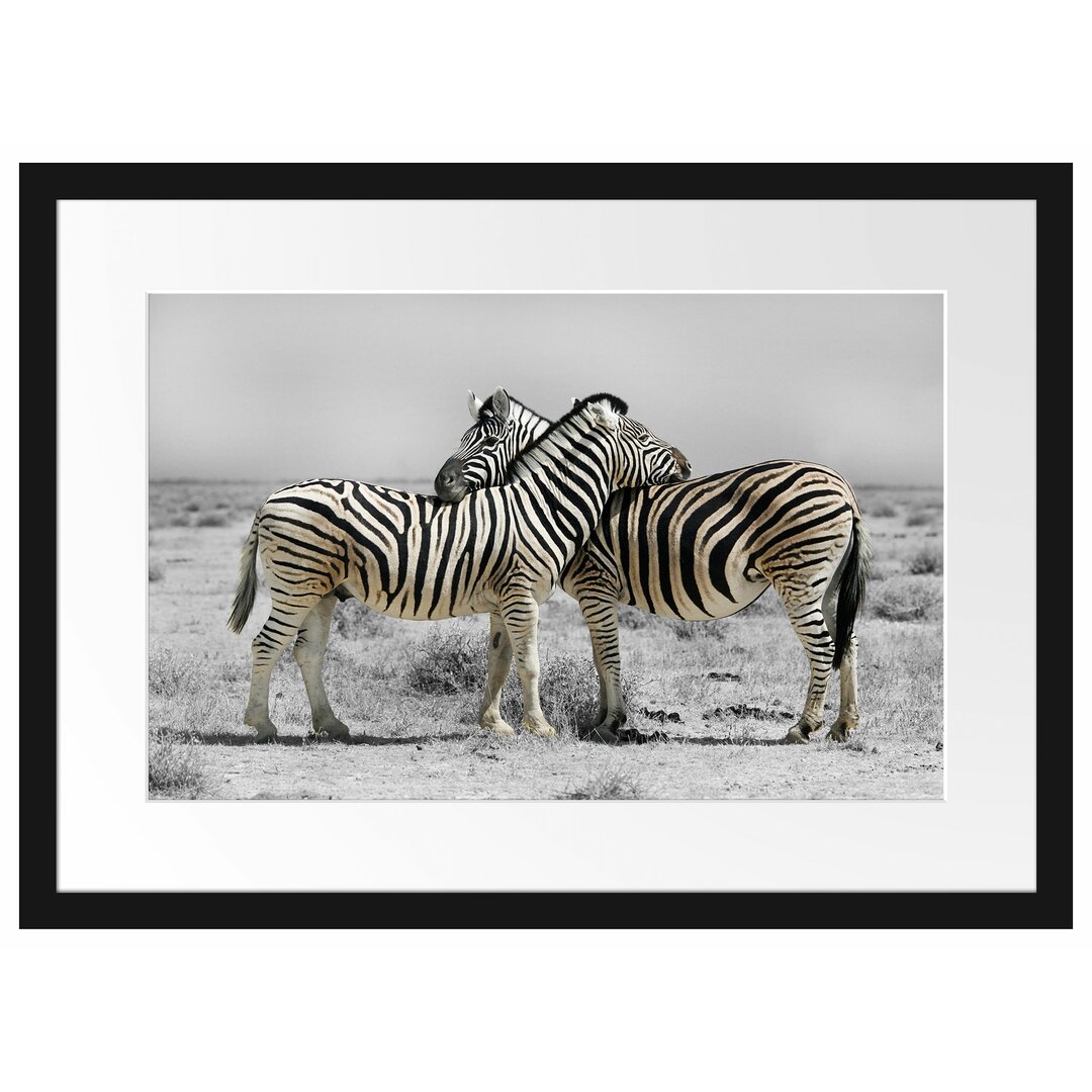 Gerahmtes Poster Zebras in der Savanne