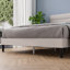 Bellay Upholstered Bed Frame with Channel Tufted Headboard-1295211587-1295211586