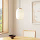 Kace Single Light Glass Dimmable Pendant