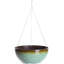Cateena Hanging Planter