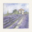 Lavender Fields par Debi Coules - Estampe numérique sur toile tendue avec châssis-1523266518-1603704993