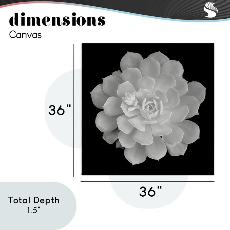 Toile de contraste blanc pur pure, design par Phillip Flowers, H 36 po x l 36 po