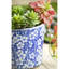 Ensemble de 4 pots de fleurs en terre cuite D7.5X6, bleu blanc vieilli