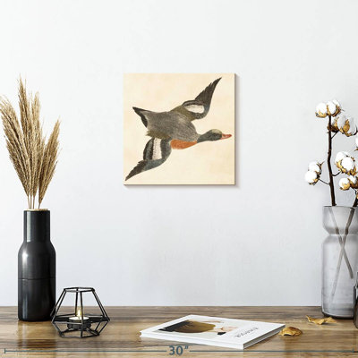 Flying Wigeon