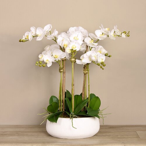 Vivian Rose Orchid Arrangement & Reviews | Wayfair