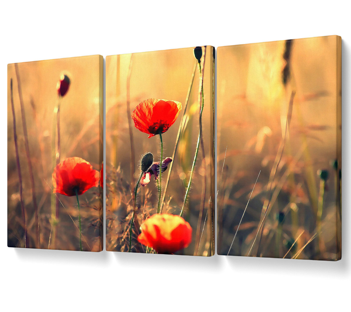 Ebern Designs Red Poppy Sun Rays - 3 Piece Wrapped Canvas Graphic Art ...