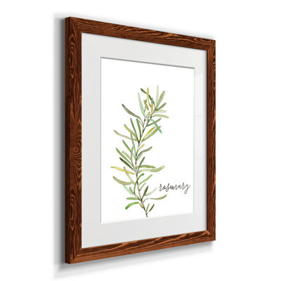 " Fresh Sprig Rosemary " Painting Print