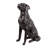 Bronze Sitting Labrador Life Size Resin Home Decor Living Room Display