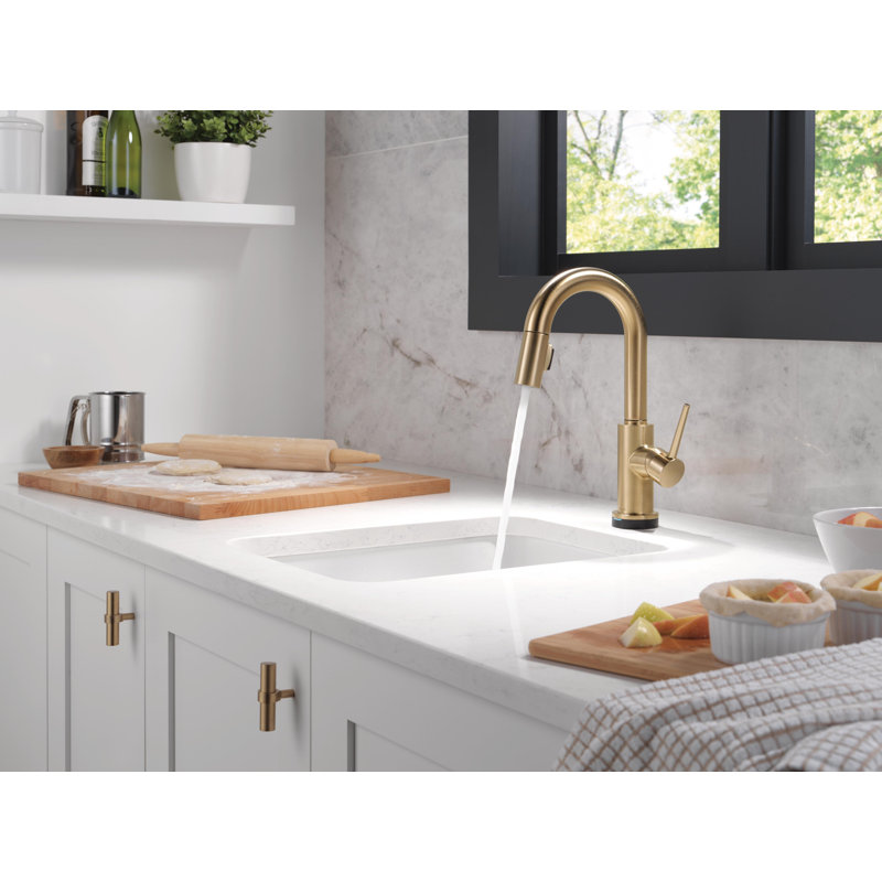 Trinsic Touch2O Bar / Prep Faucet with Touchless Technology, Champagne Bronze