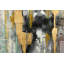 Hand -painted colored obscurity acrylic painting