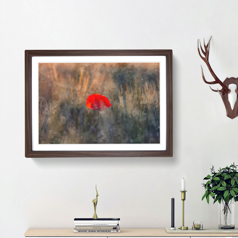 Red Poppy Flower - Framed Print, 45cm H x 63cm W x 2cm D, Walnut Framed