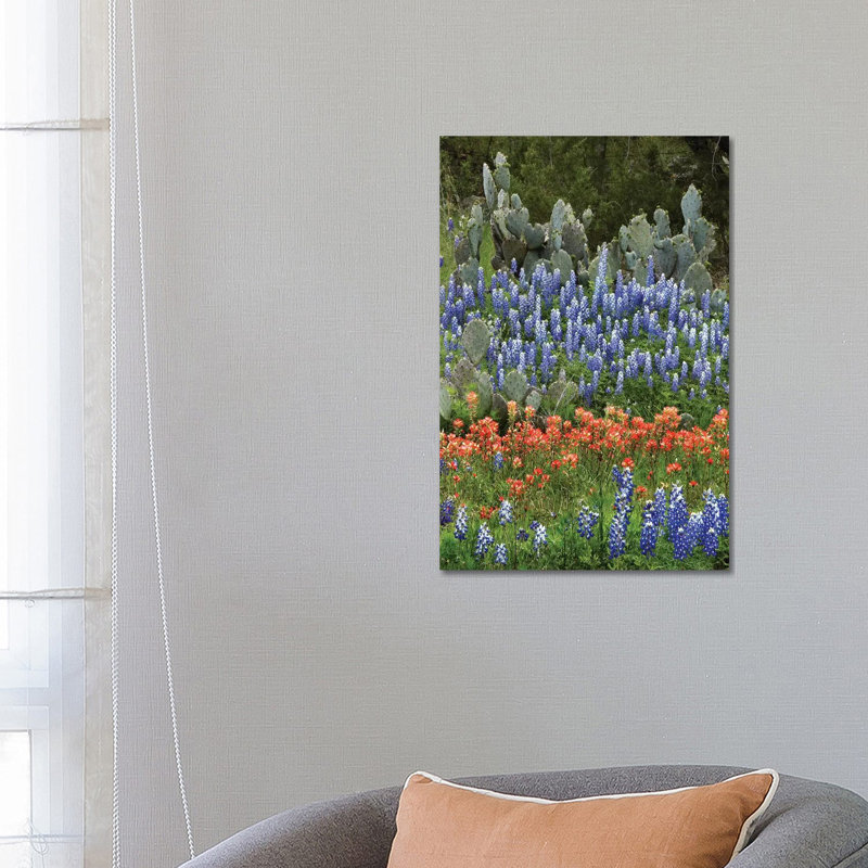 Bluebonnet, Paintbrush Cactus, Texas And Pricky Pear - Vertical by Tim Fitzharris - Wrapped Canvas Print