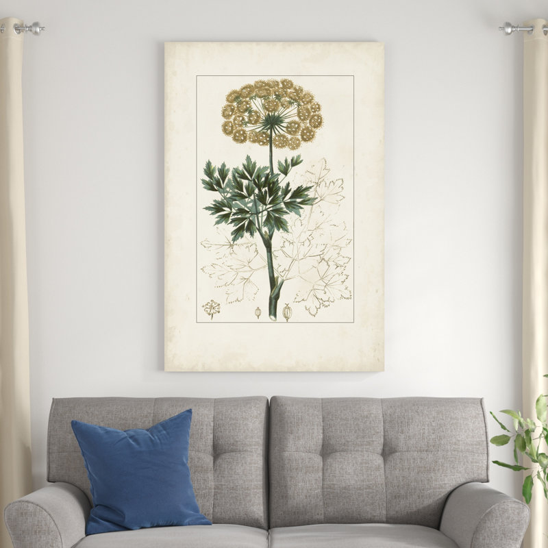 Antique Turpin Botanical VI, H 48 po x l 32 po