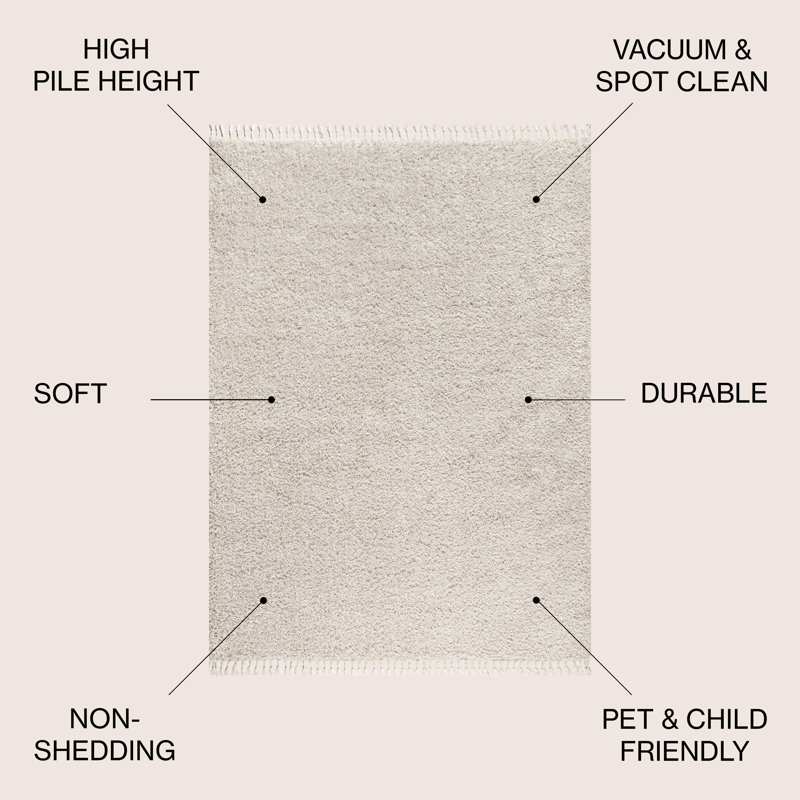 Tapis crème à poils longs Felicdad, Rectangle 3 pi 1 po x 5 pi