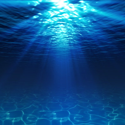 " Underwater View "