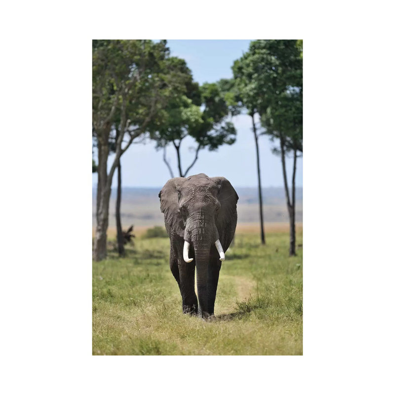 Gentle Giant by Elmar Weiss - Wrapped Canvas Print, 101.6 cm H x 66.04 cm W x 3.175 cm D