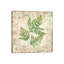«Birch Bark Ferns I», impression sur toile-34988599-72421549-75085924