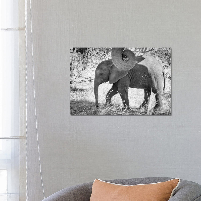 Africa, Botswana, Chobe National Park. Black and White of Elephant Calf Close-Up 1 Piece Wrapped Canvas Wall Art