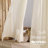 Sheer Curtain Panel Pair-440956226-440956227