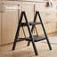 Carbon Steel Step Ladder