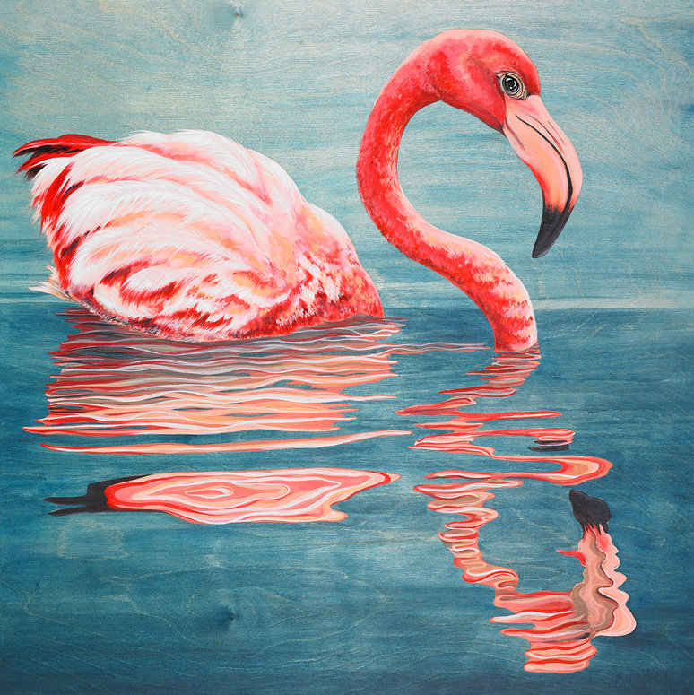 «Flamingo Reflections», impression, H 24 po x l 24 po, Canevas