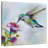 Brampt Hummingbird II-109216980