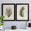 Palm Botanical I - ensemble de 2 photographies sur toile-1425392431-1425392436-1350425248
