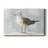 " Simple Seagull II "-794609922